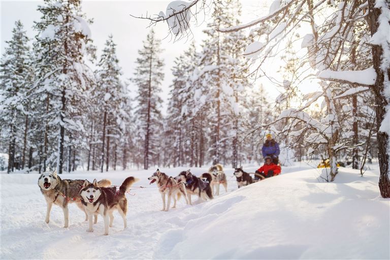 Winterspaß in Finnisch Lappland @TravelPhotoBloggers/adobestock